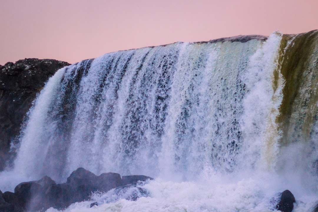 Unleashing the Wanderlust: A Journey into the Wild